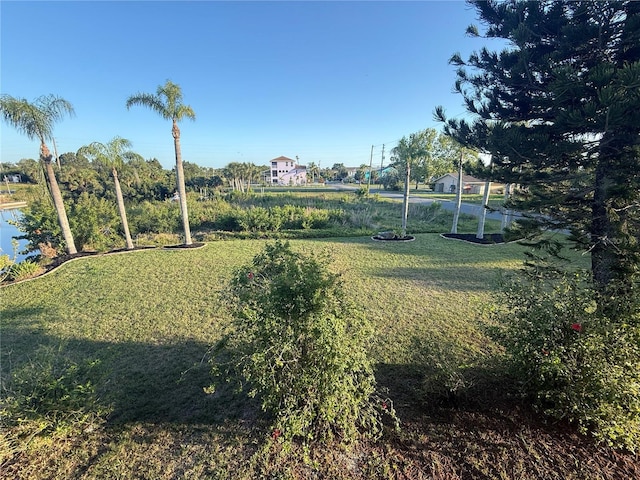 3338 Fernleaf Dr, Hernando Beach, FL 34607 - view of grassy yard