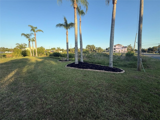 3338 Fernleaf Dr, Hernando Beach, FL 34607 - view of green lawn