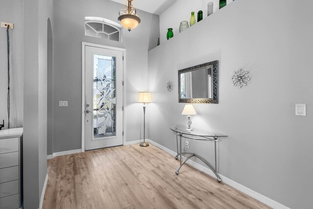 1110 Jasmine Creek Ct, Sun City Center, FL 33573 - entryway with wood finished floors, baseboards, and arched walkways