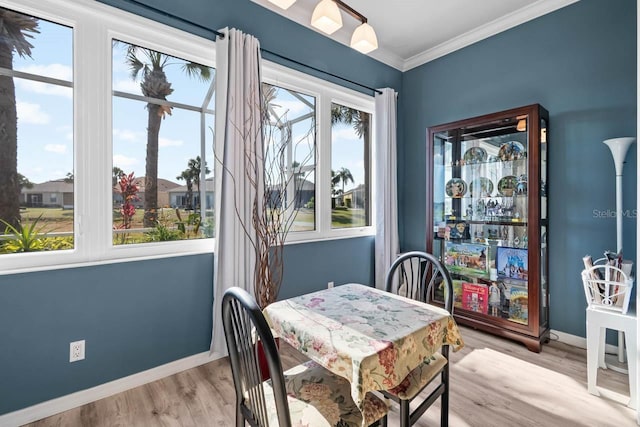 1110 Jasmine Creek Ct, Sun City Center, FL 33573 - dining room featuring baseboards, ornamental molding, and light wood-style floors