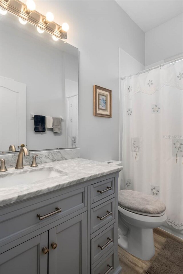 1110 Jasmine Creek Ct, Sun City Center, FL 33573 - bathroom featuring wood finished floors, vanity, toilet, and a shower with curtain