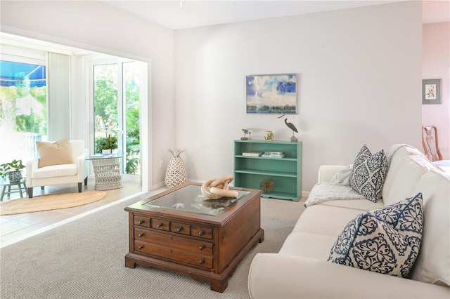 14840 Shipwatch Trce Unit 1924, Largo, FL 33774 - living room with carpet floors