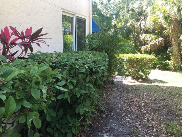 14840 Shipwatch Trce Unit 1924, Largo, FL 33774 - view of yard
