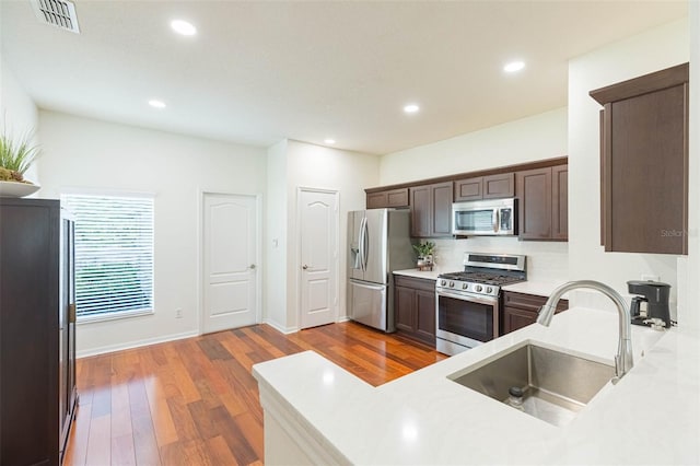 20403 Sultana Ct, Tampa, FL 33647 - kitchen with appliances with stainless steel finishes, a sink, dark brown cabinets, wood finished floors, and light countertops
