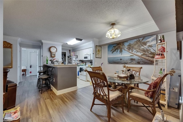 9481 Highland Oak Dr Unit 1511, Tampa, FL 33647 - dining room featuring light wood-style flooring, a chandelier, a textured ceiling, and ornamental molding