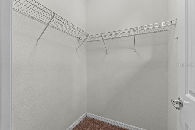 2280 Long Spur, Odessa, FL 33556 - walk in closet featuring dark colored carpet