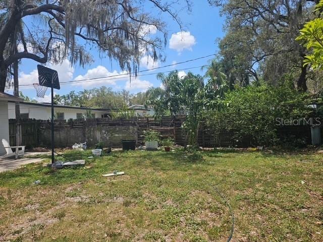 10932 N 21st St, Tampa, FL 33612 - view of yard