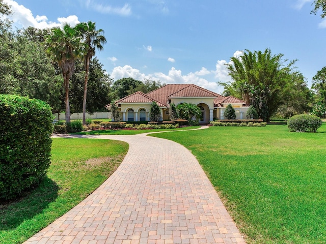 10504 Echo Lake Dr, Odessa, FL 33556 - mediterranean / spanish home featuring curved driveway, a front yard, stucco siding, and a tile roof