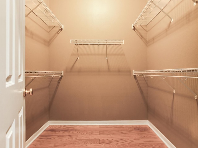 10504 Echo Lake Dr, Odessa, FL 33556 - spacious closet with wood finished floors