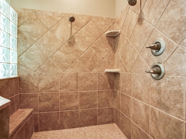 10504 Echo Lake Dr, Odessa, FL 33556 - full bathroom with a tile shower
