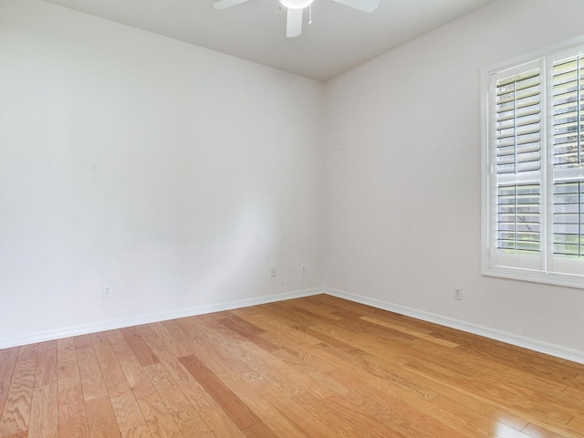 10504 Echo Lake Dr, Odessa, FL 33556 - spare room featuring light wood-style floors, ceiling fan, and baseboards