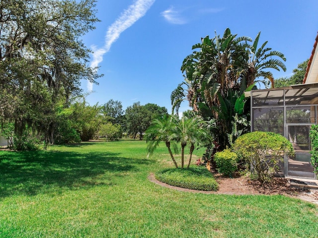 10504 Echo Lake Dr, Odessa, FL 33556 - view of green lawn