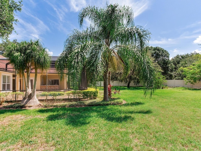 10504 Echo Lake Dr, Odessa, FL 33556 - view of yard
