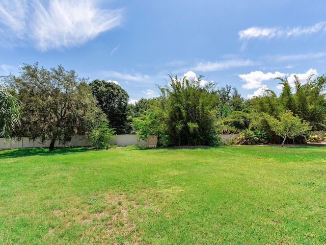 10504 Echo Lake Dr, Odessa, FL 33556 - view of yard