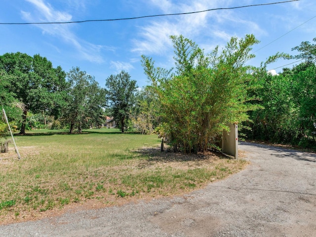 10504 Echo Lake Dr, Odessa, FL 33556 - view of green lawn