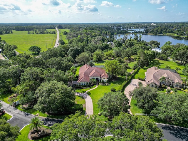 10504 Echo Lake Dr, Odessa, FL 33556 - aerial view of a large body of water and a tree filled landscape