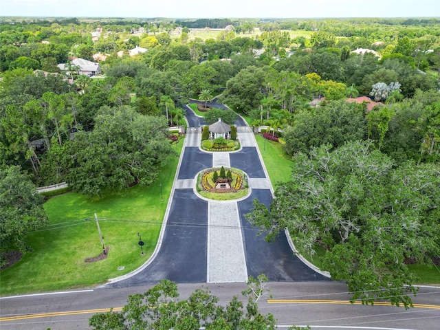 10504 Echo Lake Dr, Odessa, FL 33556 - bird's eye view of a heavily wooded area