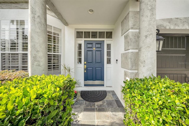 3903 W De Leon St, Tampa, FL 33609 - photo 5