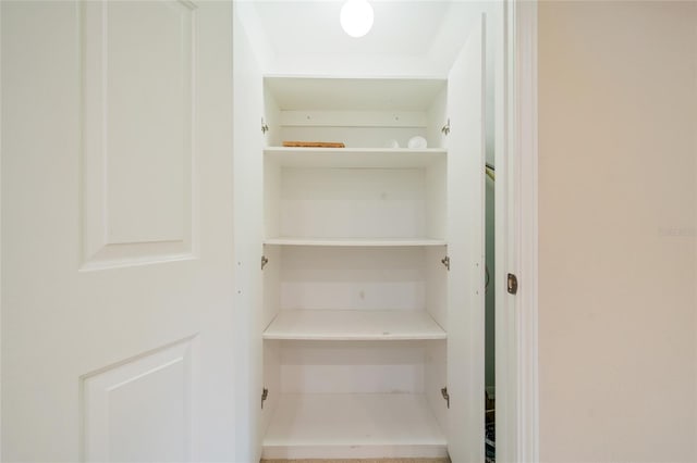 11839 Castine St, New Port Richey, FL 34654 - view of closet