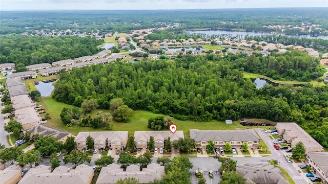 11839 Castine St, New Port Richey, FL 34654 - aerial perspective of suburban area featuring a large body of water and a forest