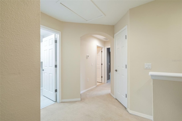 11839 Castine St, New Port Richey, FL 34654 - hallway with arched walkways, light colored carpet, baseboards, and attic access