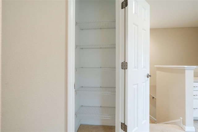 11839 Castine St, New Port Richey, FL 34654 - view of closet