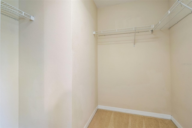 11839 Castine St, New Port Richey, FL 34654 - spacious closet featuring light carpet