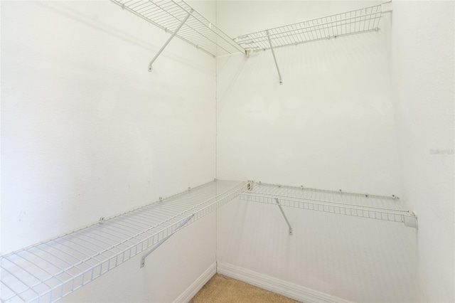 11839 Castine St, New Port Richey, FL 34654 - spacious closet featuring light colored carpet
