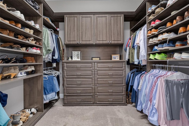 152 Glenn Moor Cir, Dunedin, FL 34698 - spacious closet featuring carpet flooring
