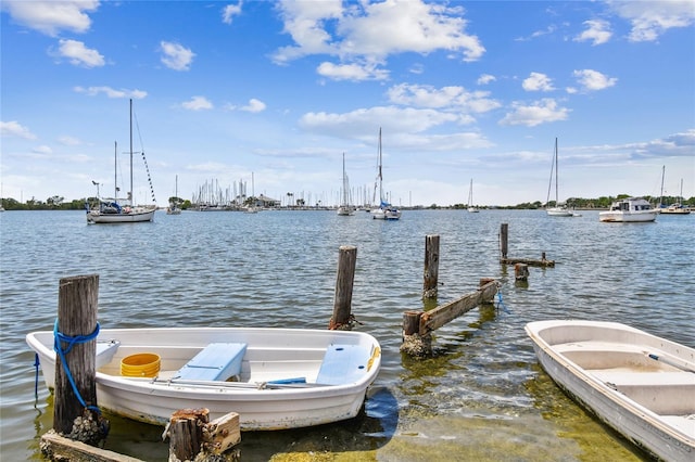 424 W Davis Blvd, Tampa, FL 33606 - photo 10