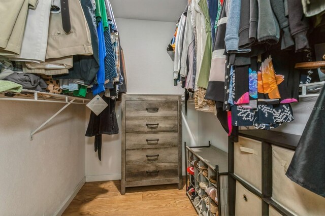 4021 Vana Dr, Sarasota, FL 34241 - spacious closet featuring light wood finished floors
