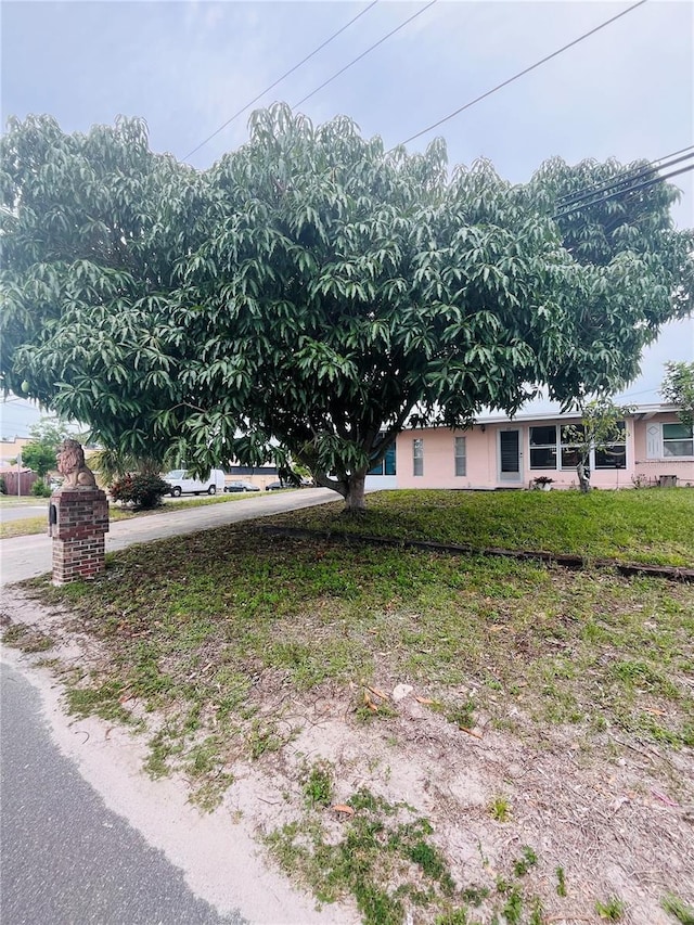 72 Lake Shore Dr, Palm Harbor, FL 34684 - view of side of property