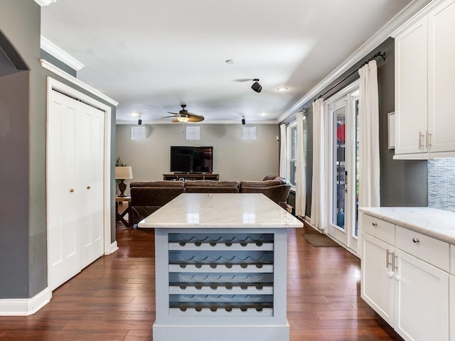 3003 W Leila Ave, Tampa, FL 33611 - kitchen featuring ornamental molding, a ceiling fan, dark wood-style flooring, and open floor plan