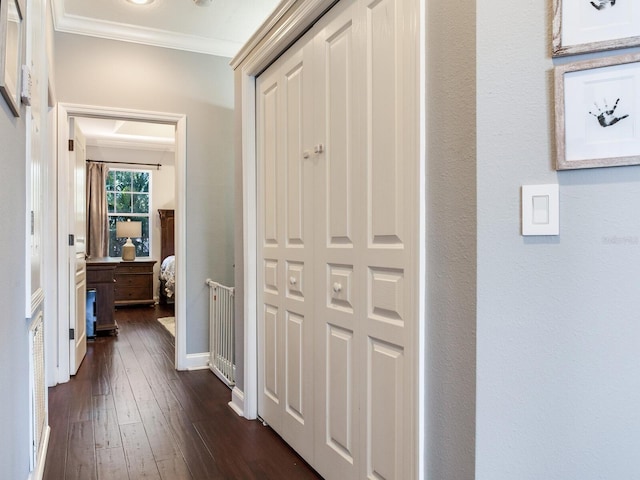 3003 W Leila Ave, Tampa, FL 33611 - corridor featuring crown molding, dark wood-style floors, and baseboards