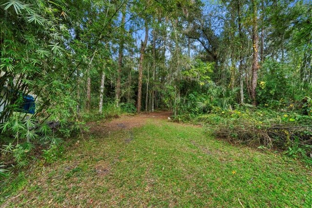 15012 N 301st Hwy, Thonotosassa, FL 33592 - photo 25