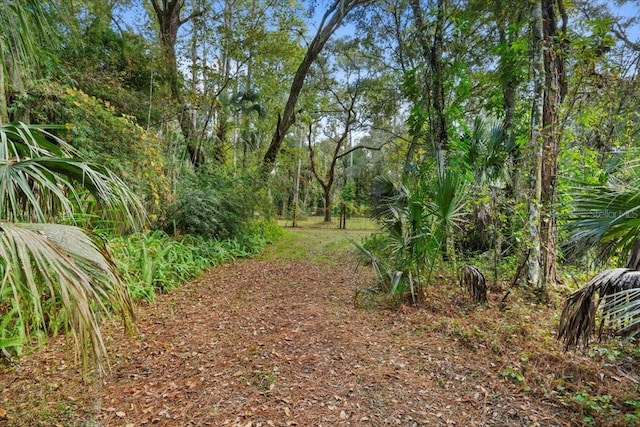 15012 N 301st Hwy, Thonotosassa, FL 33592 - photo 27