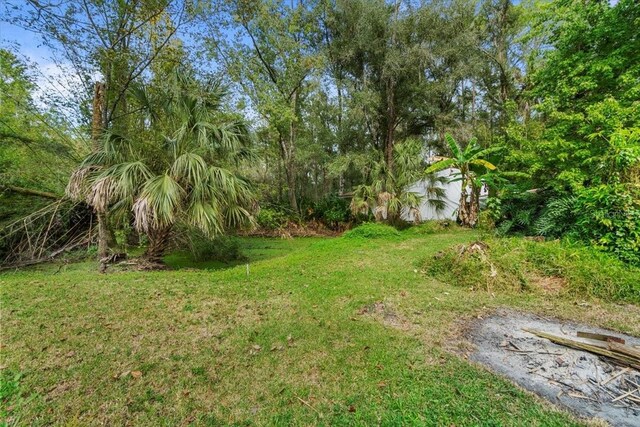 15012 N 301st Hwy, Thonotosassa, FL 33592 - photo 28