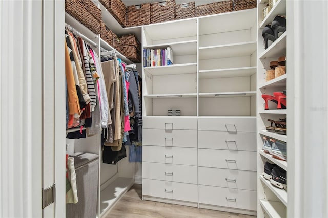 17 Franklin Ct S Unit C, Saint Petersburg, FL 33711 - walk in closet featuring light wood-style floors