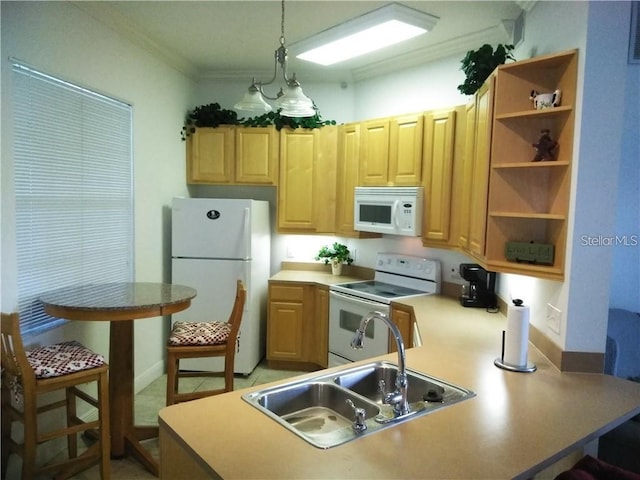 6714 Dali Ave Unit 102, Land O Lakes, FL 34637 - kitchen with white appliances, a sink, crown molding, open shelves, and a peninsula