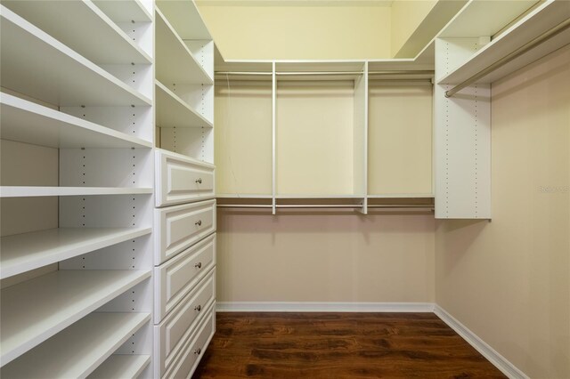 21209 Diamonte Dr, Land O Lakes, FL 34637 - spacious closet with dark wood-style flooring