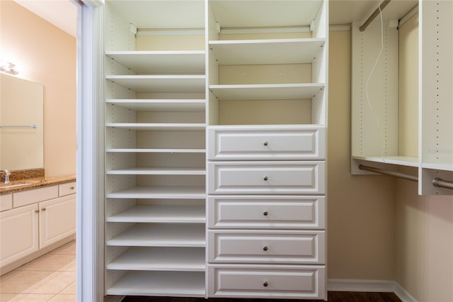 21209 Diamonte Dr, Land O Lakes, FL 34637 - walk in closet with a sink