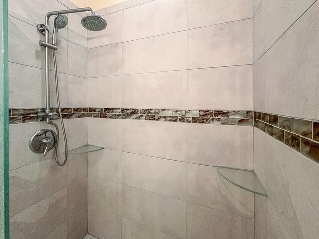 21209 Diamonte Dr, Land O Lakes, FL 34637 - bathroom view of a tile shower