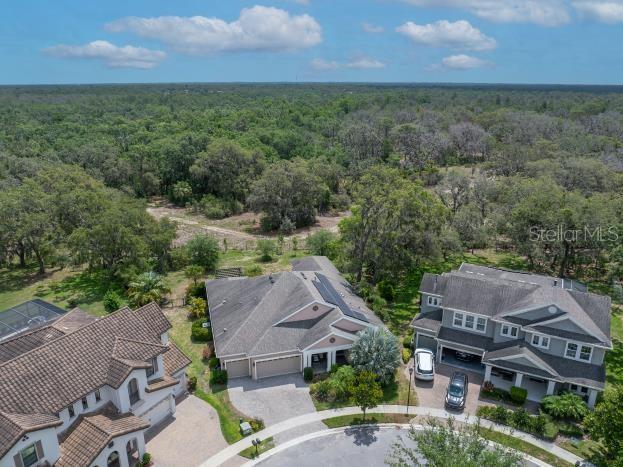 14223 Lambert Bridge Ln, Lithia, FL 33547 - bird's eye view of a heavily wooded area