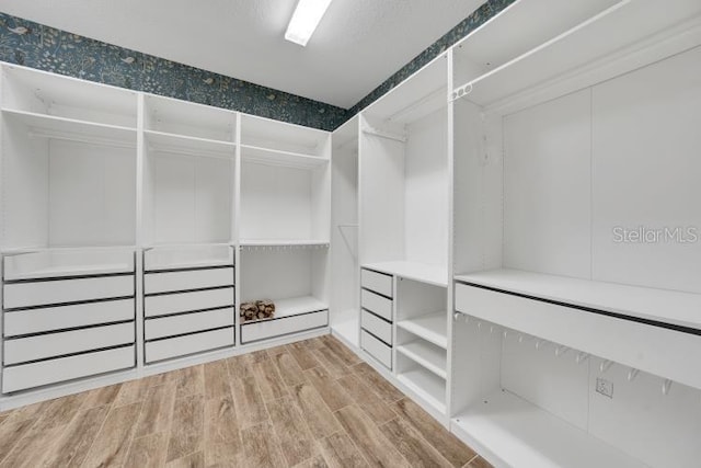 14223 Lambert Bridge Ln, Lithia, FL 33547 - walk in closet with light wood-style floors