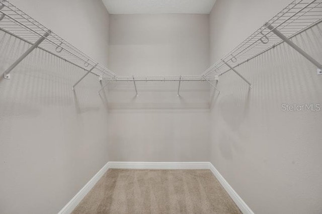 14223 Lambert Bridge Ln, Lithia, FL 33547 - walk in closet with carpet