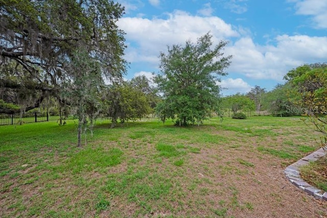 14223 Lambert Bridge Ln, Lithia, FL 33547 - view of yard