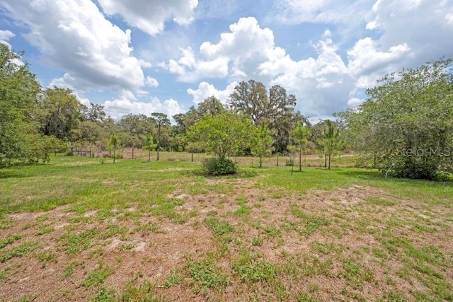 14223 Lambert Bridge Ln, Lithia, FL 33547 - view of yard with a rural view