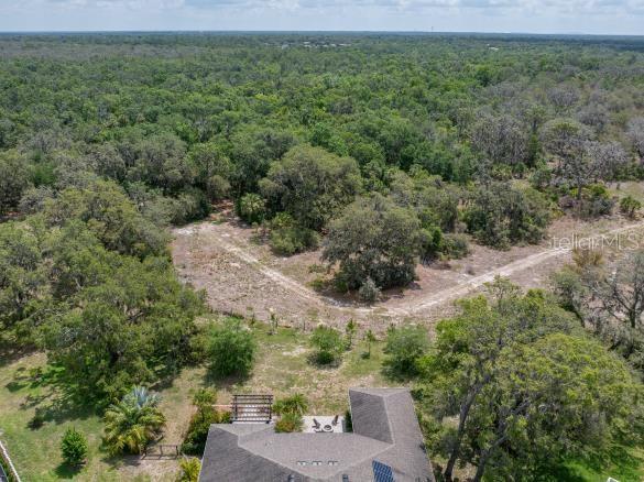 14223 Lambert Bridge Ln, Lithia, FL 33547 - aerial view of property and surrounding area with a forest