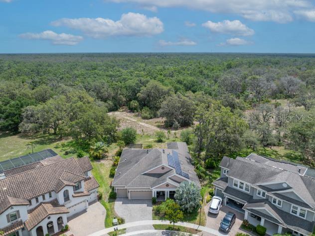 14223 Lambert Bridge Ln, Lithia, FL 33547 - aerial perspective of suburban area featuring a forest