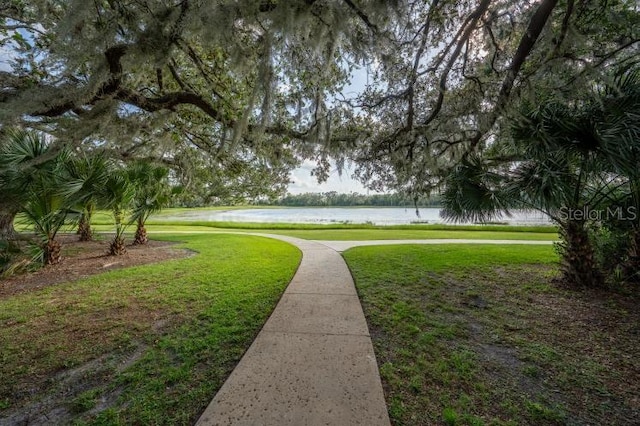 14223 Lambert Bridge Ln, Lithia, FL 33547 - view of home's community with a water view and a yard